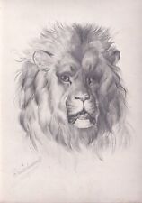 Löwe lion Kuntzelmann Zeichnung drawing dessin 1840