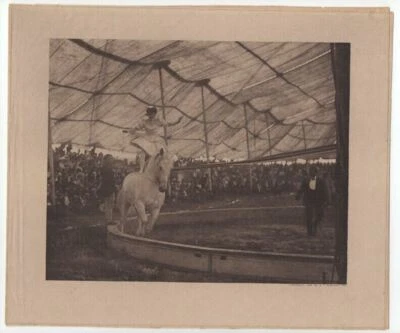 Оригинальная камера 1907 HARRY C. RUBINCAM «В цирке» работа фотогравюра лошадь - Изображение 1 из 3