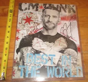 WWF WWE CM Punk Wrestling Autographed 11 x 14 Photo Signed AEW Best in World - Picture 1 of 2