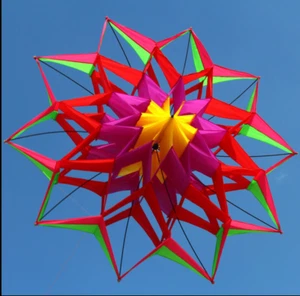 3D LOTUS FLOWER 54" KITE SINGLE LINE OUTDOOR TOY FLYING FOR KIDS SPORT DISCONTI - Picture 1 of 5