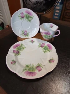 Shelley Thistle Dainty Teacup Trio Bone China Cup Saucer & Plate 13820 EXC - Picture 1 of 3