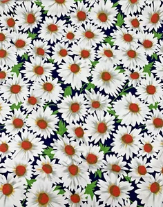 90s Collections by Hi-Fashion Fabrics Floral Large Daisy Print Knit Fabric 64" W - Picture 1 of 7