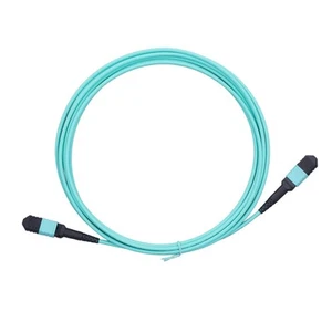 10 Gigabit Glasfaserkabel 12-adriges Multimode-PVC-Glasfaser-Patchkabel❀ - Afbeelding 1 van 22