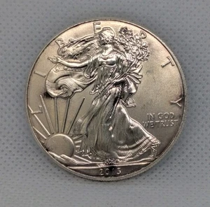 1 Troy Oz 999 Fine Silver 2013 American Eagle Walking Liberty Bullion Coin - Picture 1 of 2
