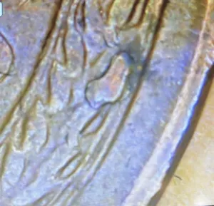 1955-S Lincoln wheat penny DOUBLE die chips On reverse ERROR - Picture 1 of 4
