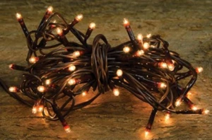 Warm White Micro Lights, 50 Count, Brown Cord, Teeny Lights - Picture 1 of 1