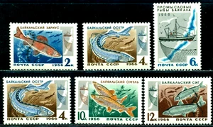 1966 Fish Baikal Lake,Arctic grayling,Siberian sturgeon,cisco,Russia,Mi.3264,MNH - Picture 1 of 1