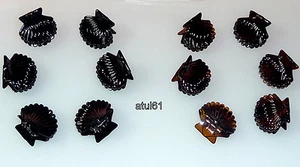 BLACK / BROWN SHELL SMALL HAIR CLAW CLAMPS HAIR CLIPS HAIR GRIPS ACCESSORIES NEW - Picture 1 of 7