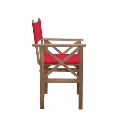 Director Folding Armchair w/ Canvas, Set of 2 - Image 1 of 3