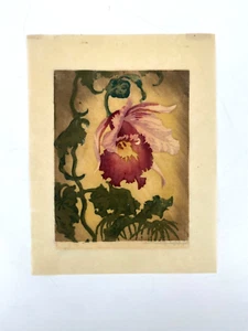 *HOLZSCHNITT BLUME HUGO NOSKE ORIGINAL SIGNIERT 1886-1960 STILLLEBEN ORCHIDEE - Bild 1 von 8