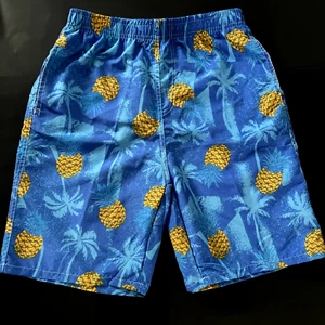 Men's Size 28 Board Shorts Blue Swim Trunks Swimwear Bathing Suit Shorts - Picture 1 of 9