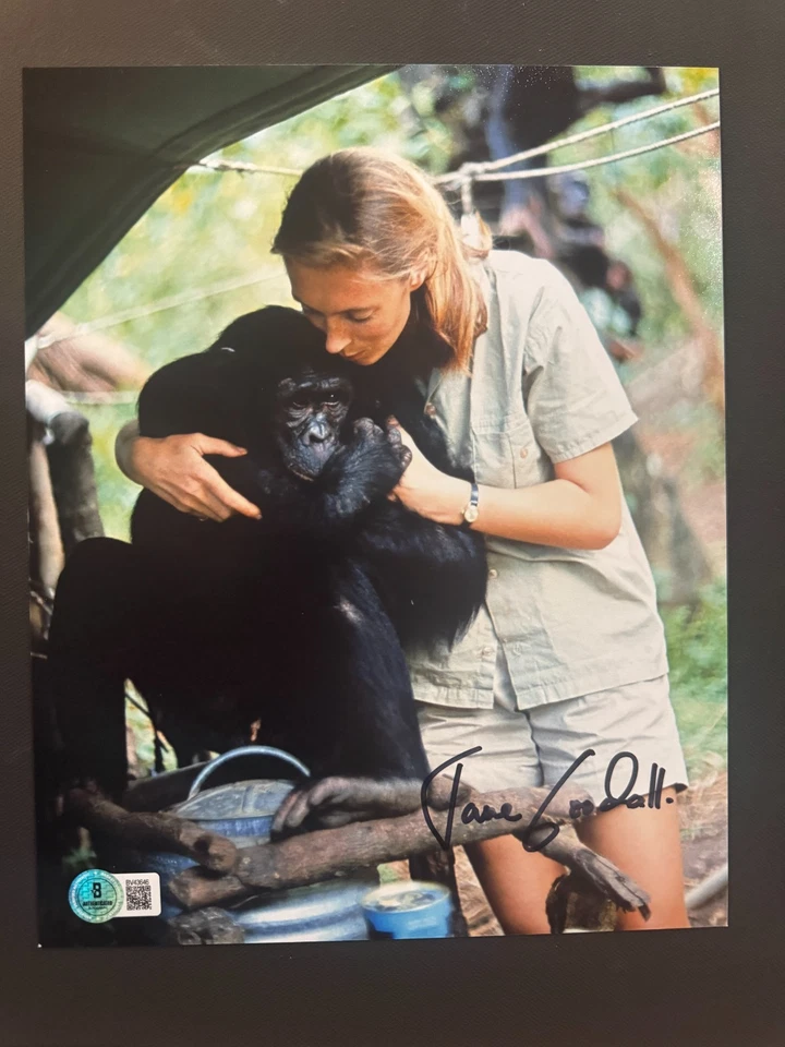 Jane Goodall 罕见! 亲笔签名签名灵长类动物学家 8 x 10 照片 Beckett BAS 可口可乐 — 第 1/1 张图片