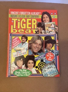 Tiger Beat June 1975 Tony DeFranco Donny Osmond Hudson Brothers - Picture 1 of 15