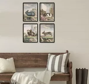 Vintage French Rabbits Prints 8.5x11 Unframed Wall Art Set of 4 - Picture 1 of 5