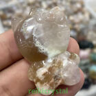 Agate fleur naturelle cristal quartz sculpté à la main chat chaton guérison Reiki 1 pièce