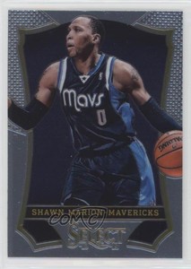 2013-14 Panini Select Shawn Marion #20