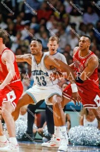 EH570 Alonzo Mourning Charlotte Hornets 8x10 11x14 16x20 24x36 Photo - Picture 1 of 1