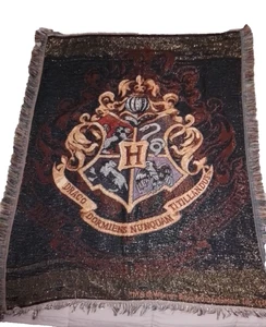 Harry Potter Draco Dormiens Nunquam Titillandus Coperta da Lancio 60" x 48" - Foto 1 di 5