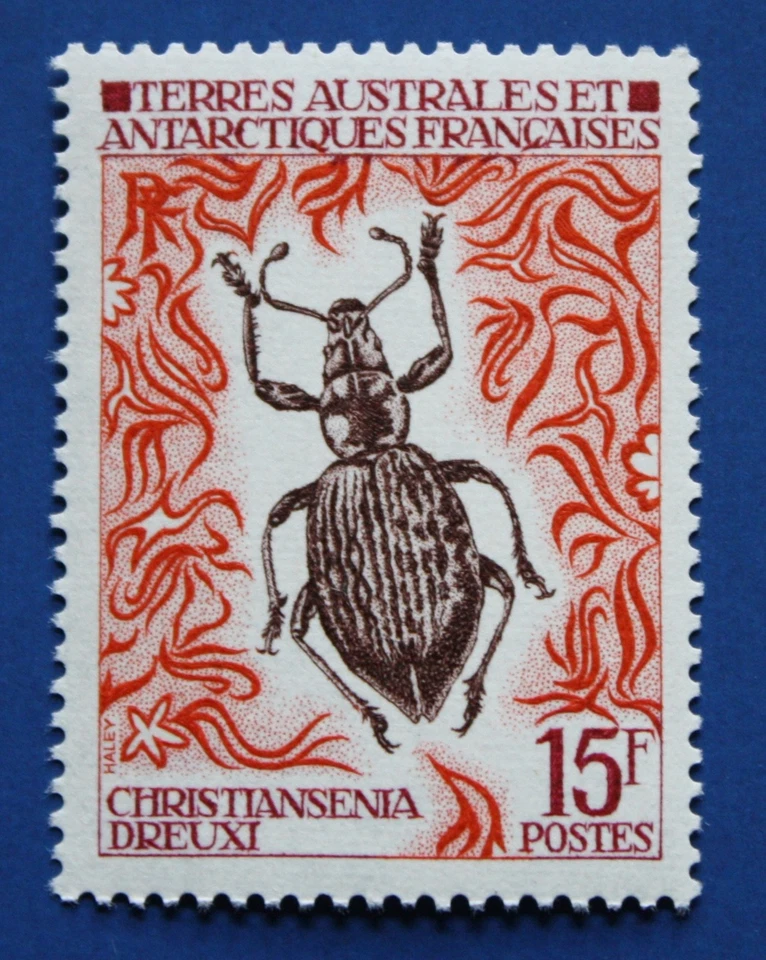 FSAT (46) 1972 Insects - Christiansenia Dreuxi single (MNH) - Image 1 of 1