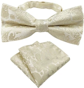 New Mens Pre-Tied adjustable Bow Tie Paisley Beige Silk Bowtie Hanky Party - Picture 1 of 1
