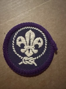 Purple World Scouting Insignia Crest Boy Scouts of America BSA Rare Mesh Back - Picture 1 of 2