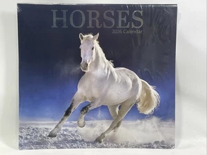 Wandkalender 2026 Pferde verschiedene schöne Rassen versiegelt neu - Bild 1 von 3