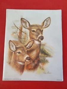 RUANE MANNING RARE DEER LITHO PRINT: No. 50461 DONALD ART CO. 8" X 10" - Picture 1 of 1