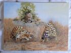 Original Oil On Canvas Painting Serval / Cheetah - Art - Big Cat - Africa