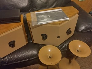Bose 901 Series VI Speakers, Equilizer & Tulip Stands *PRISTINE++ CONDITION* - Picture 1 of 24