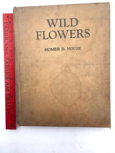 Wildblumen Homer Haus 1936 3. Auflage LESEN über 250 Farbteller - Bild 1 von 20