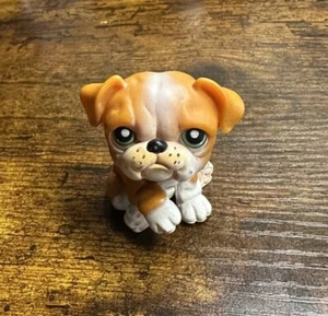 Littlest Pet Shop orange/weiße BULLDOGGE grüne Punkte Augen SELTEN 2004 LPS Nr # Nummer - Bild 1 von 6