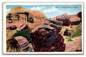Versteinerter Wald Arizona AZ UNP WB Postkarte N18 - Bild 1 von 2