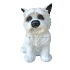 Big Sky Carvers Canine Kitchen Collection Cookie Jar White Westin Dog 11”