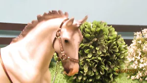 Jaapi 2021 SR halter, fits Northern Tempest, Breyer model Breyerfest BROWN - Picture 1 of 2