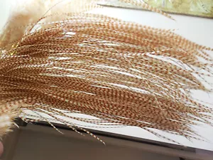 100 7-10" WHITING Ingwer Grizzly Hechel Feder Handwerk Haarverlängerungen - Bild 1 von 2