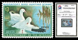 Scott RW37 1970 $3.00 Duck Stamp Mint Graded XF-Sup 95 NH with PSE CERT - Picture 1 of 1
