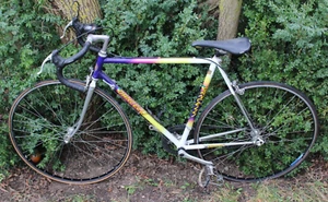Rennrad Dancelli Campione d'italia 12 Gang Schaltung, 55cm Rahmenhöhe, Garagenfu - Bild 1 von 19