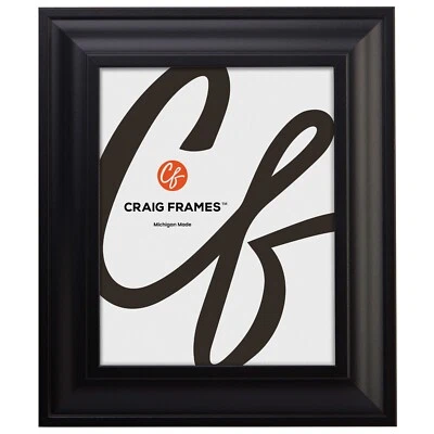 Contemporary Upscale, 2" Satin Black Picture Frames, Uncommon Sizes, 4x9 - 17x33 - Image 1 of 4