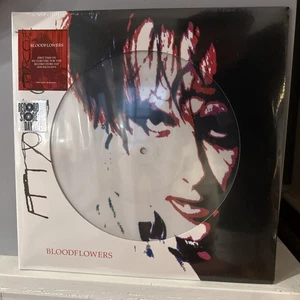 The Cure Bloodflowers Picture Disc Vinyl Sealed 2020 RSD - Picture 1 of 6