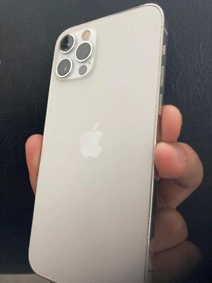 iPhone 12 Pro 128GB - Argento Con Cover  E Scatola - Immagine 1 di 4