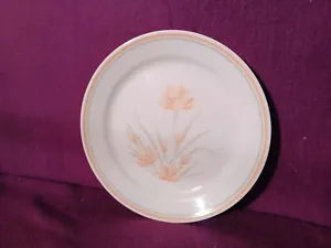 Plato de cena Corelle Corning con patrón floral de melocotón 10 1/4" - Imagen 1 de 1