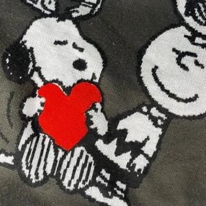 Pottery Barn Peanuts Love Jacquard Reversible Sherpa Tiro Trasero 50x60 Usado - Imagen 1 de 5