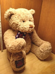 Large GUND Wish Bear 100th Anniversary 1902 - 2002 Stuffed Plush Teddy Bear 17" - Picture 1 of 7