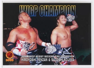 Tarjeta coleccionable de lucha libre profesional HIROYOSHI TENZAN & SATOSHI KOJIMA No.52 - 2000 BBM - Imagen 1 de 3