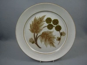 Denby Cotswold Speiseteller - Bild 1 von 1
