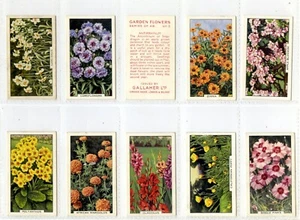 Full Set, Gallaher, Garden Flowers 1938, VG (Gd2602) 48/48 - Picture 1 of 4