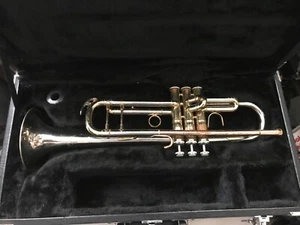 PLAYER BERKELEY Bb TRUMPET & ORIGINAL CASE SOUNDS GREAT FOR LEARNING STRAD COPY - Picture 1 of 12