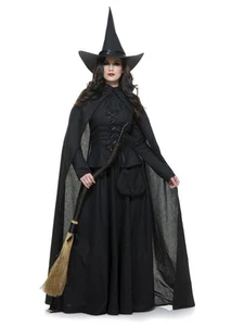 Wicked Witch Women's Costume - Picture 1 of 2