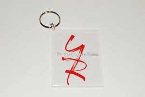 THE YOUNG AND THE RESTLESS Y&R - Picture 1 of 1