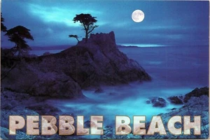 Pebble Beach Lone Cypress Tree Monterey California Postcard SC-254-pb Unposted  - Picture 1 of 2